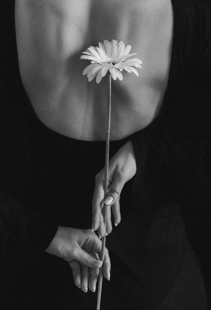Hands holding a single daisy against bare skin, warm black and white